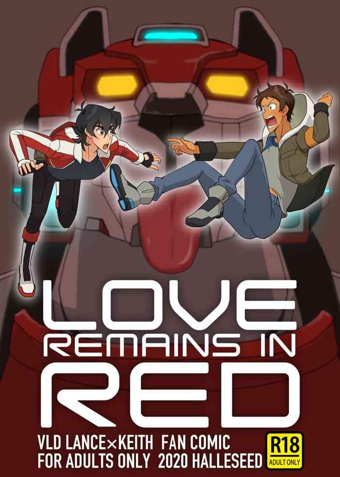 love remains in red cover