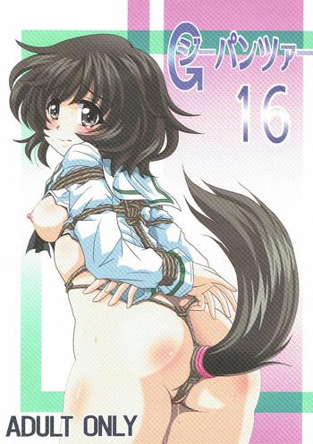 g panzer 16 cover