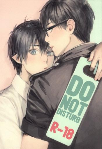 do not disturb cover