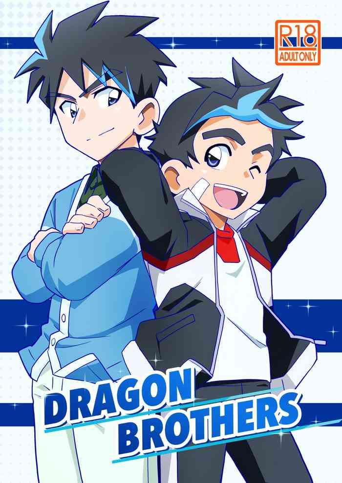 dragon brothers cover