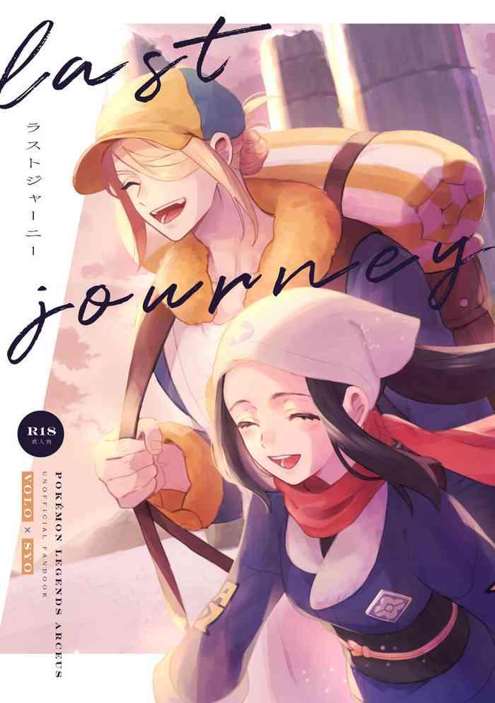last journey cover