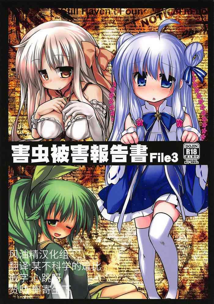 gaichuu higai houkokusho file 3 cover