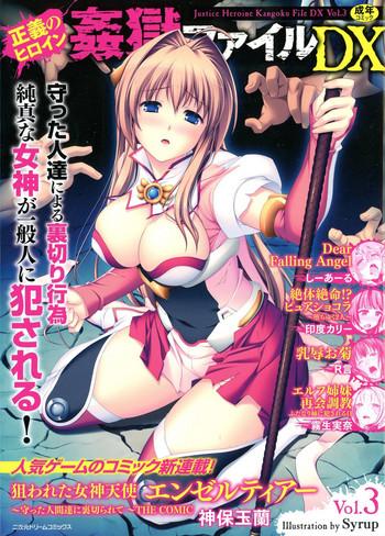 seigi no heroine kangoku file dx vol 3 cover