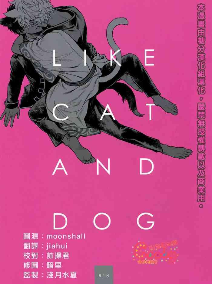 like cat and dog cover